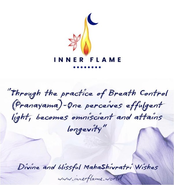 Your Breath is the Key to Your Inner World: Rediscover Yoga’s True Power beyond Poses