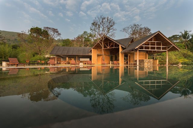 Nature: The ultimate Vitamin. Unlock Freedom from Supplements Overload through Naturopathy